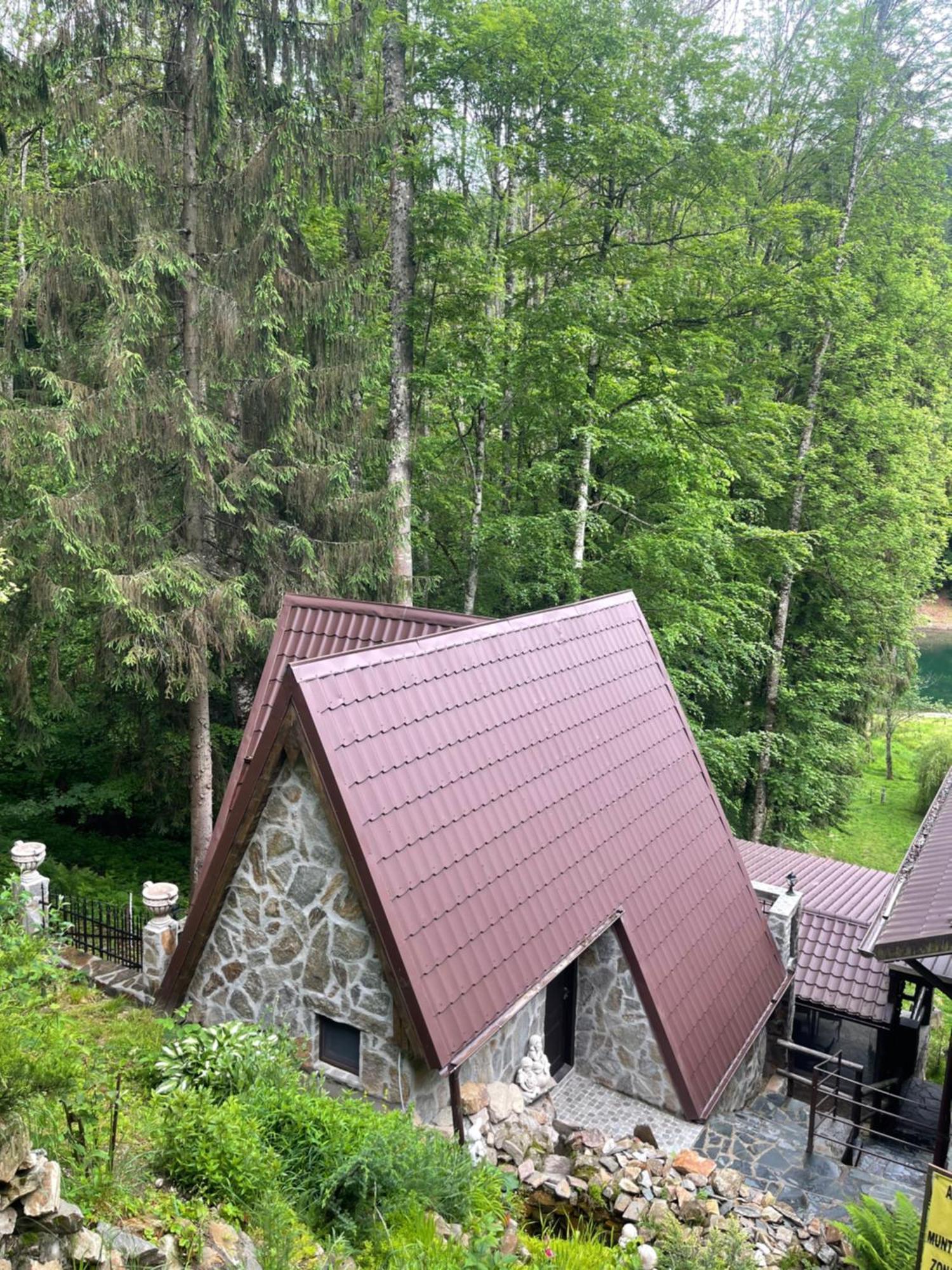 Cabana Zimbru Transfagarasan Villa Arefu Exterior photo